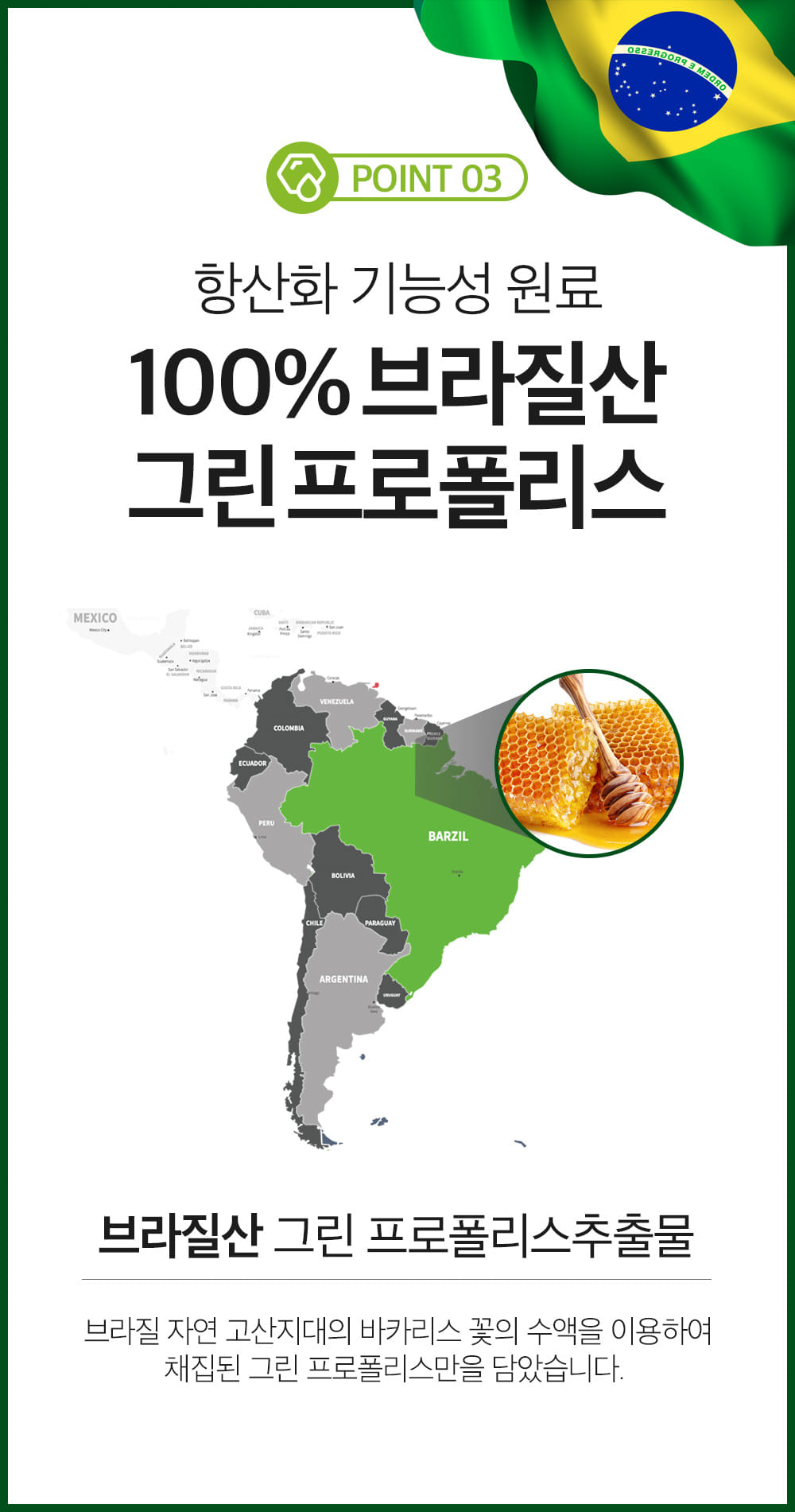 100% 브라질산 그린프로폴리스
